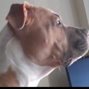 Meet your Posher, Jeff